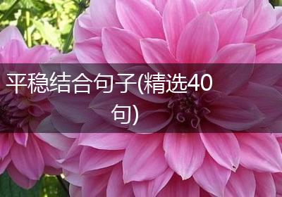 平稳结合句子(精选40句)