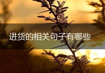 进货的相关句子有哪些