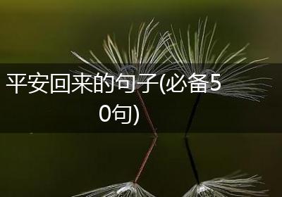 平安回来的句子(必备50句)
