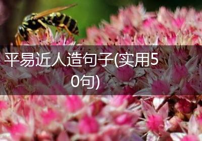 平易近人造句子(实用50句)