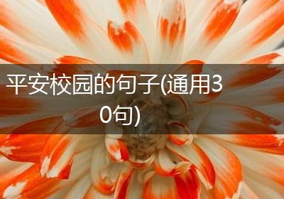平安校园的句子(通用30句)