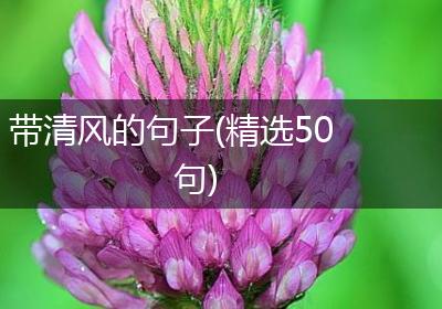 带清风的句子(精选50句)