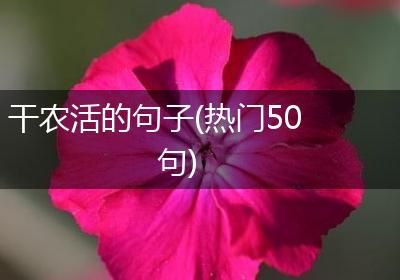 干农活的句子(热门50句)