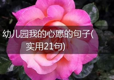幼儿园我的心愿的句子(实用21句)