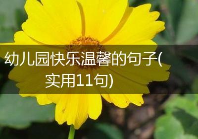 幼儿园快乐温馨的句子(实用11句)