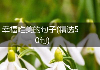 幸福唯美的句子(精选50句)