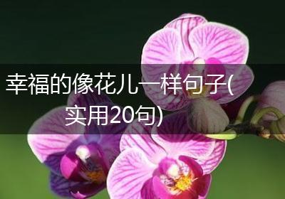 幸福的像花儿一样句子(实用20句)