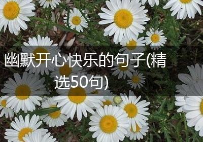 幽默开心快乐的句子(精选50句)