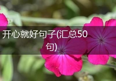 开心就好句子(汇总50句)