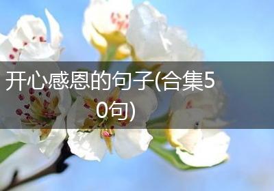 开心感恩的句子(合集50句)