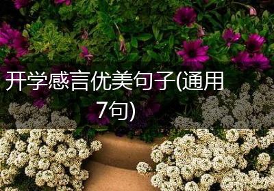 开学感言优美句子(通用7句)