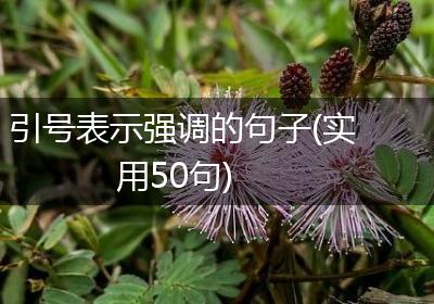 引号表示强调的句子(实用50句)