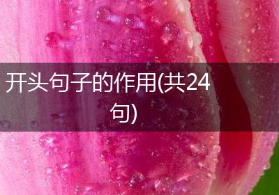 开头句子的作用(共24句)