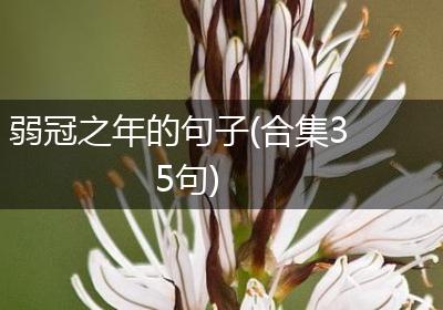 弱冠之年的句子(合集35句)