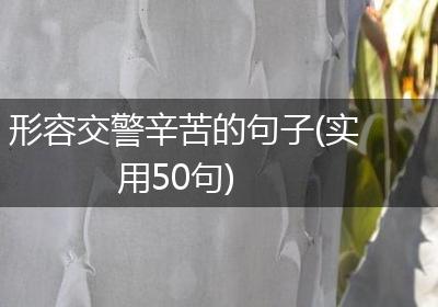 形容交警辛苦的句子(实用50句)