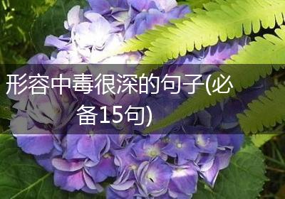 形容中毒很深的句子(必备15句)