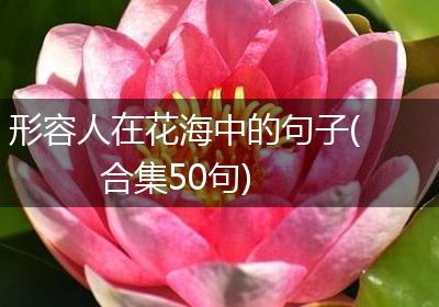 形容人在花海中的句子(合集50句)