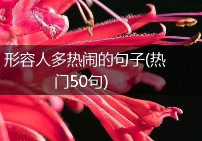 形容人多热闹的句子(热门50句)