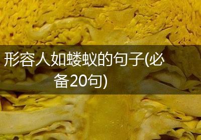 形容人如蝼蚁的句子(必备20句)