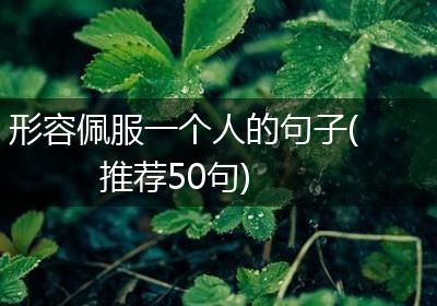 形容佩服一个人的句子(推荐50句)