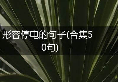 形容停电的句子(合集50句)