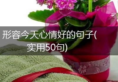 形容今天心情好的句子(实用50句)