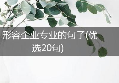 形容企业专业的句子(优选20句)