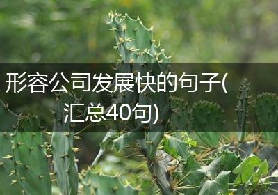 形容公司发展快的句子(汇总40句)