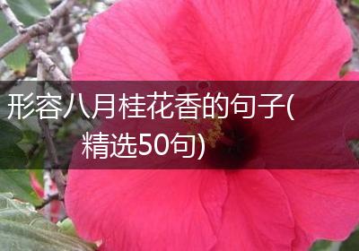 形容八月桂花香的句子(精选50句)