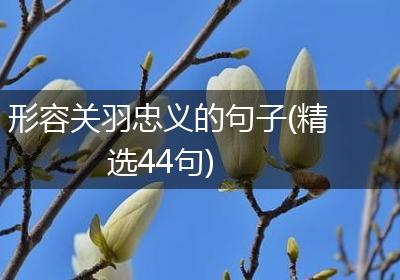形容关羽忠义的句子(精选44句)