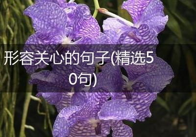 形容关心的句子(精选50句)