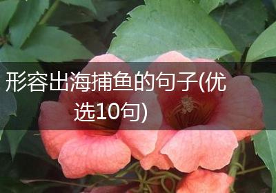 形容出海捕鱼的句子(优选10句)