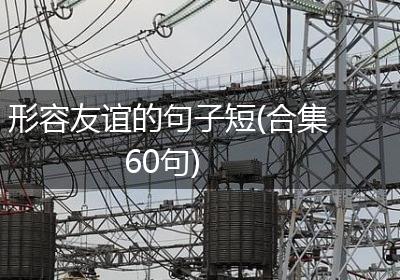 形容友谊的句子短(合集60句)