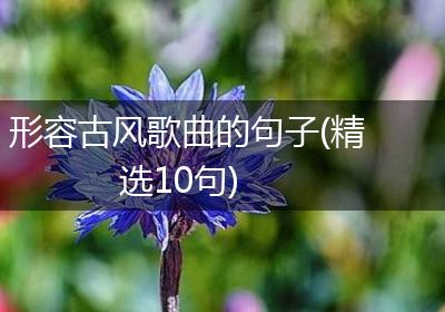 形容古风歌曲的句子(精选10句)