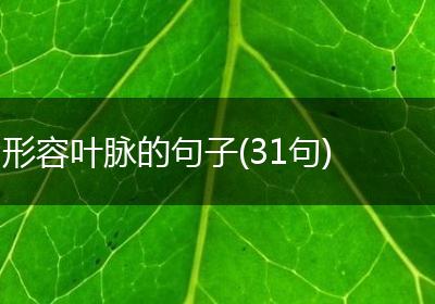 形容叶脉的句子(31句)