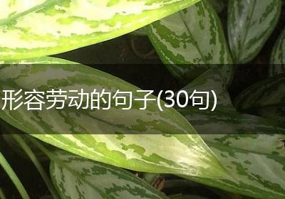 形容劳动的句子(30句)