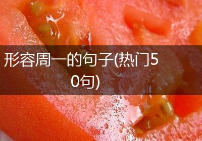 形容周一的句子(热门50句)