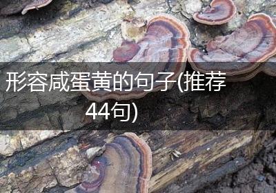 形容咸蛋黄的句子(推荐44句)