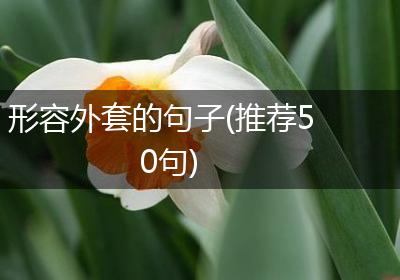 形容外套的句子(推荐50句)