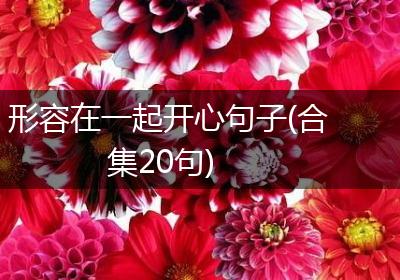 形容在一起开心句子(合集20句)