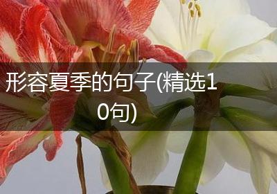 形容夏季的句子(精选10句)