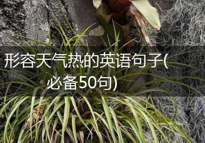 形容天气热的英语句子(必备50句)