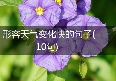 形容天气变化快的句子(10句)