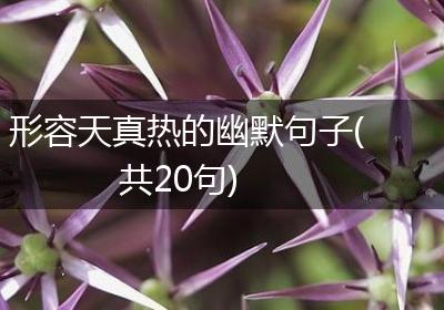 形容天真热的幽默句子(共20句)