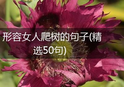 形容女人爬树的句子(精选50句)