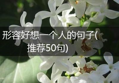 形容好想一个人的句子(推荐50句)