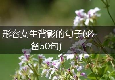 形容女生背影的句子(必备50句)