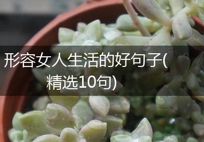 形容女人生活的好句子(精选10句)