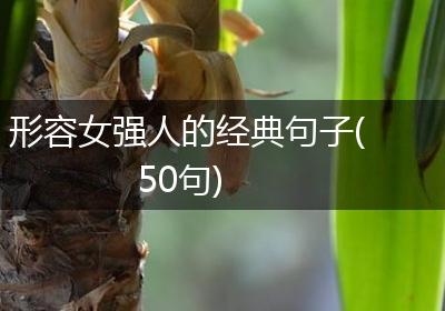 形容女强人的经典句子(50句)