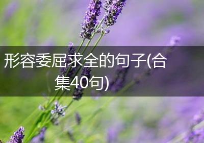 形容委屈求全的句子(合集40句)